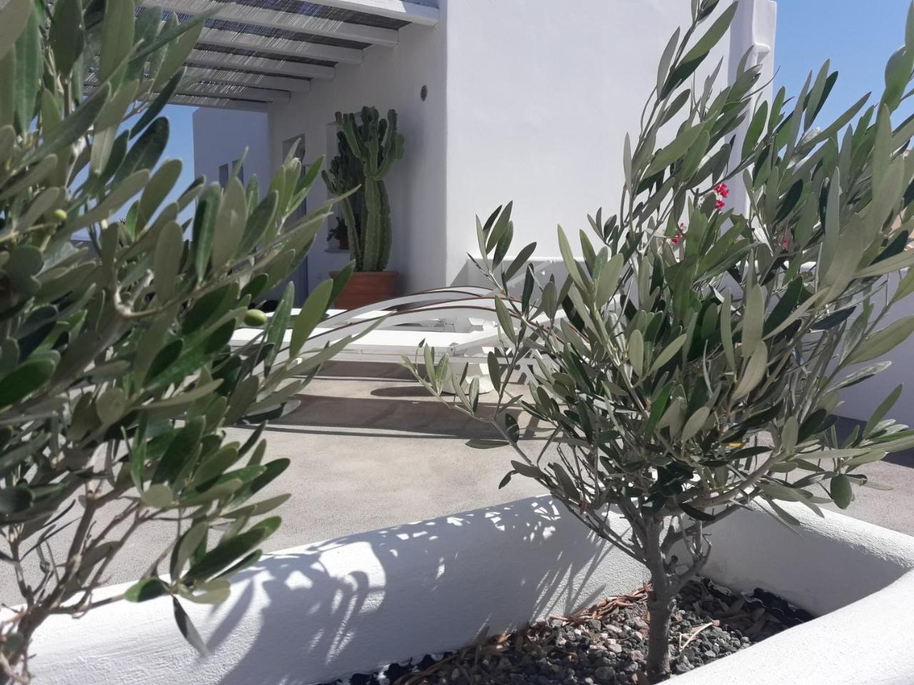 Sun Anemos Resort Oía Exterior foto